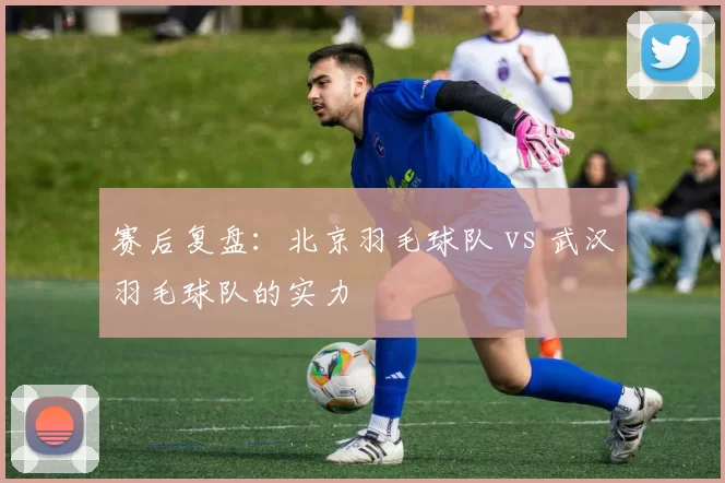 赛后复盘：北京羽毛球队 vs 武汉羽毛球队的实力