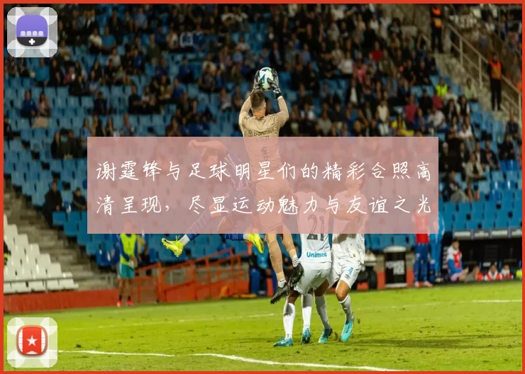 谢霆锋与足球明星们的精彩合照高清呈现，尽显运动魅力与友谊之光
