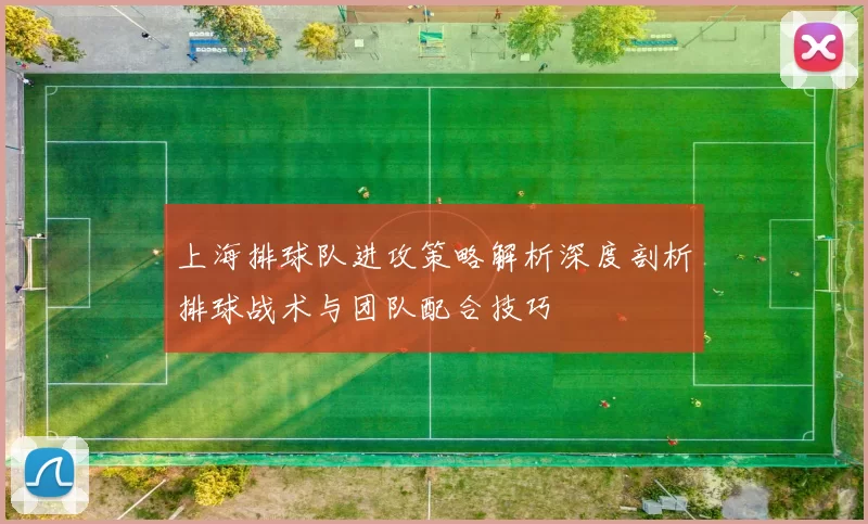 上海排球队进攻策略解析深度剖析排球战术与团队配合技巧