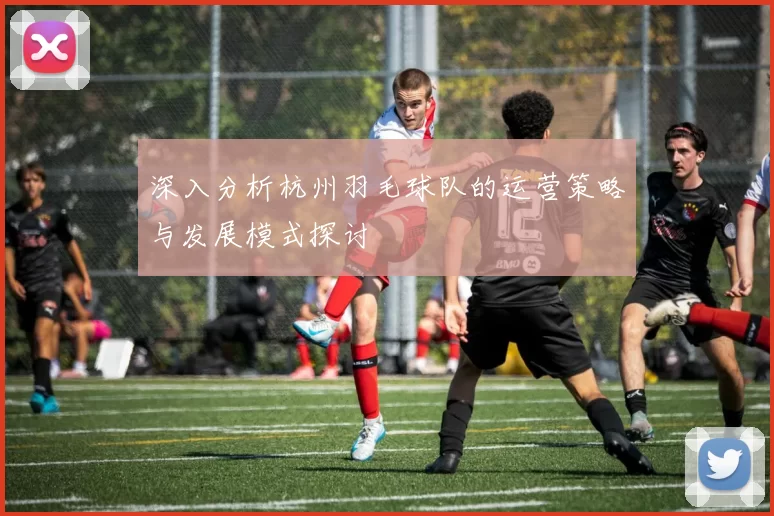 深入分析杭州羽毛球队的运营策略与发展模式探讨