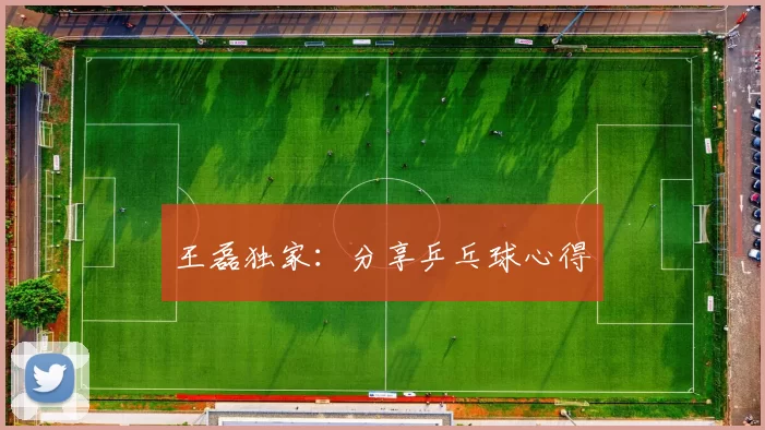 王磊独家：分享乒乓球心得