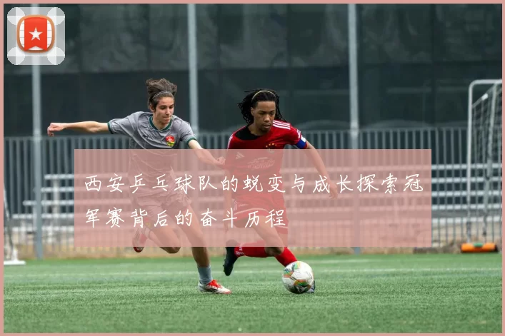 西安乒乓球队的蜕变与成长探索冠军赛背后的奋斗历程