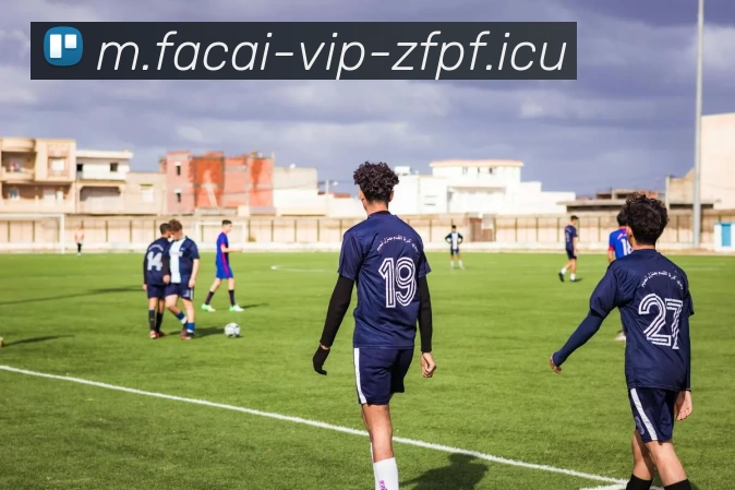 开云体育APP 高清赛事图